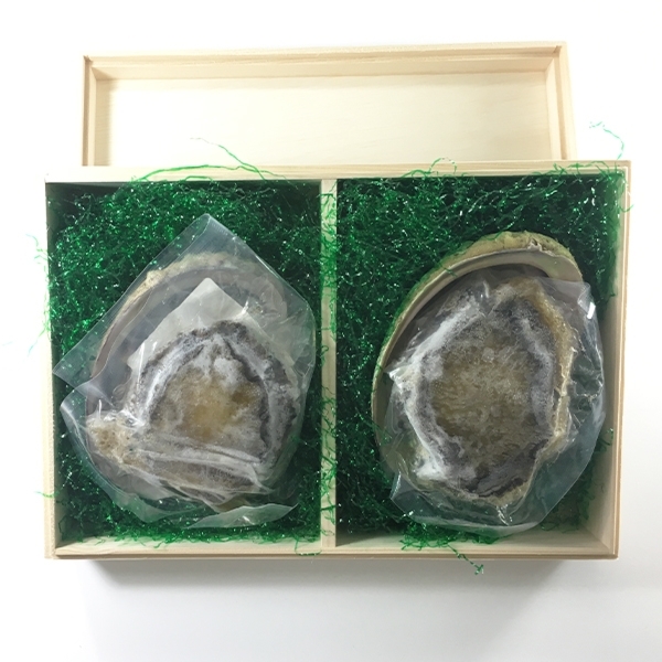 【九州の逸品!! 長崎】五島・有川漁協 殻つき あわび(約100g)