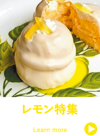 2026 �C�^���A�W