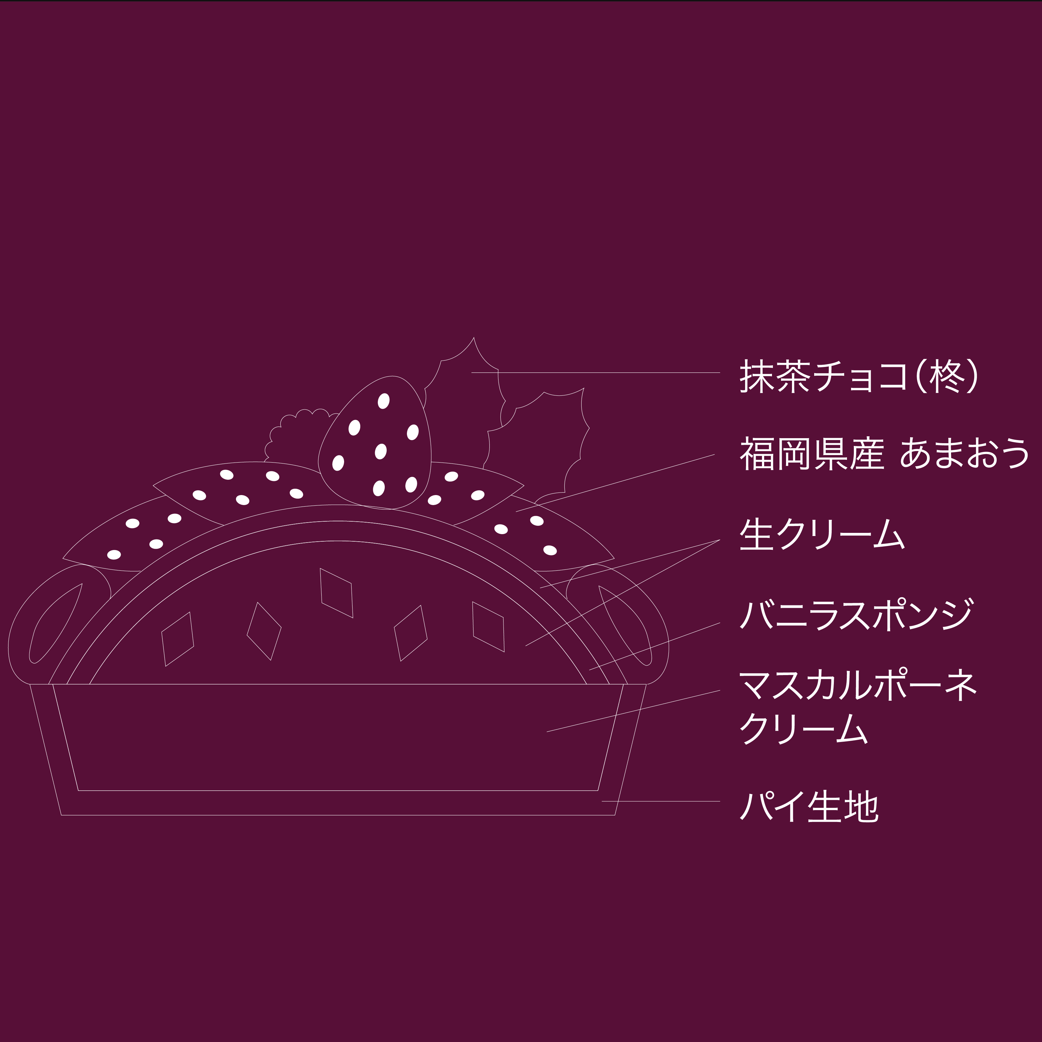 XnyJtFRTzNX}X聄Yu܂ṽP[L nFPQQPij`QTi؁j