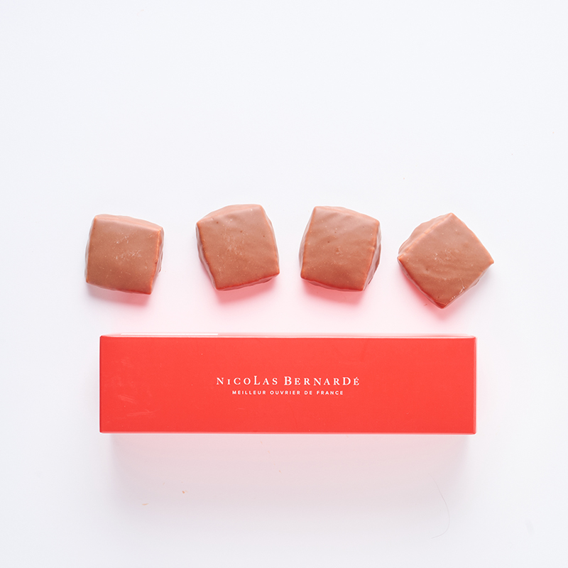 �����������I�����C���X�g�A���聚�y�j�R���E�x���i���f�z�V���[�g�u���b�h �V���R�� �����퉷�ց�