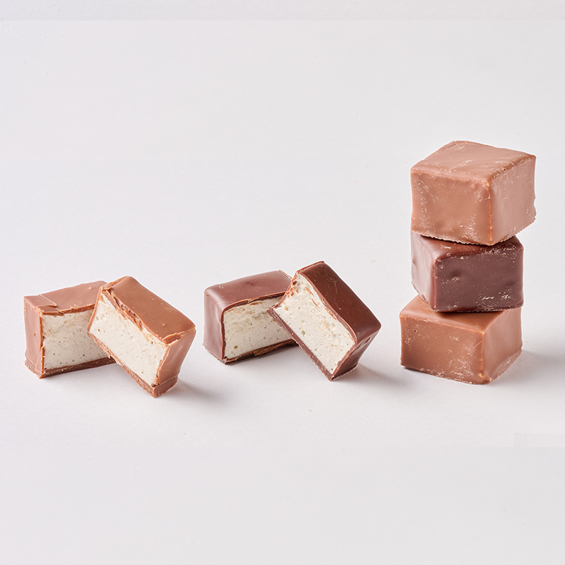 ���������y�t�B���b�v�E�x���z�M���[�� �V���R�� ���퉷�ց�