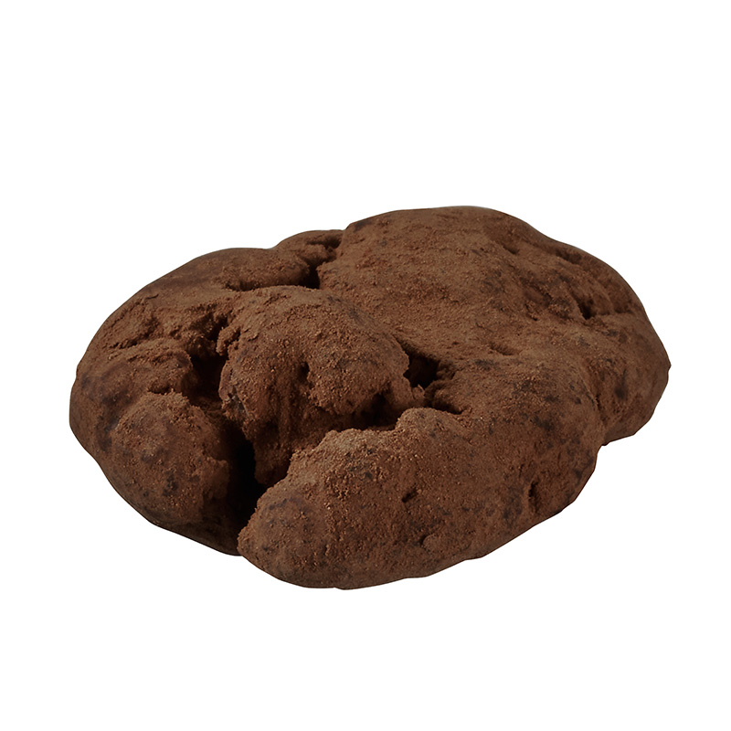 �y�S�f�B�o�z�A���X�̃e�B�[�p�[�e�B �y�J���i�b�c �`���R���[�g