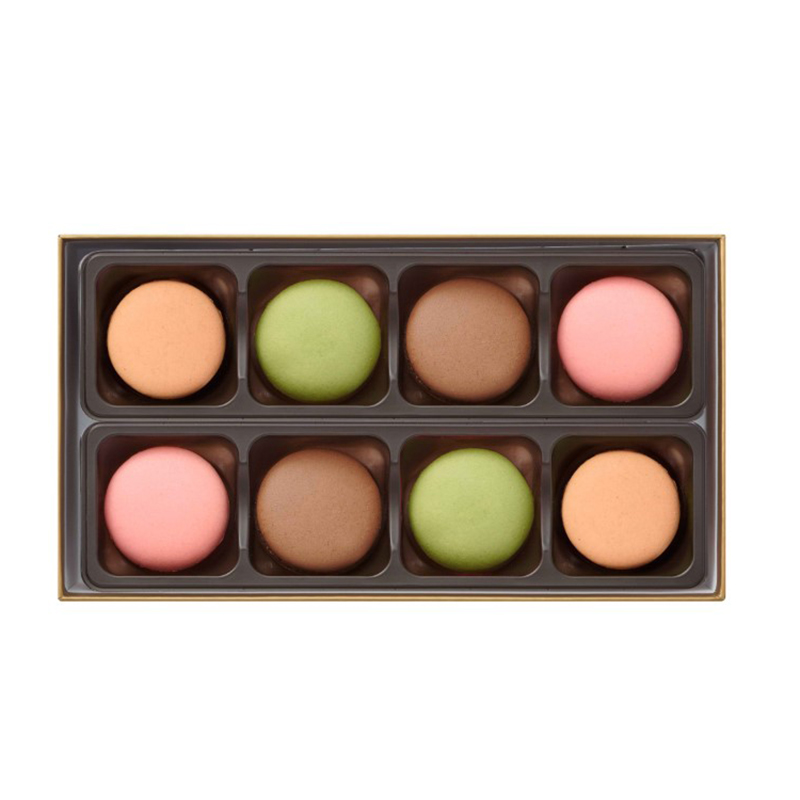 �y�S�f�B�o�z�S�f�B�o �}�J�����V���R�� 8��