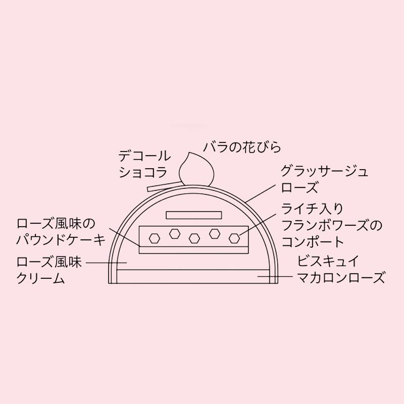 <店頭お渡し>【ピエール・エルメ・パリ】ビュッシュ イスパハン<お渡し日:12月24日(木)のみ>