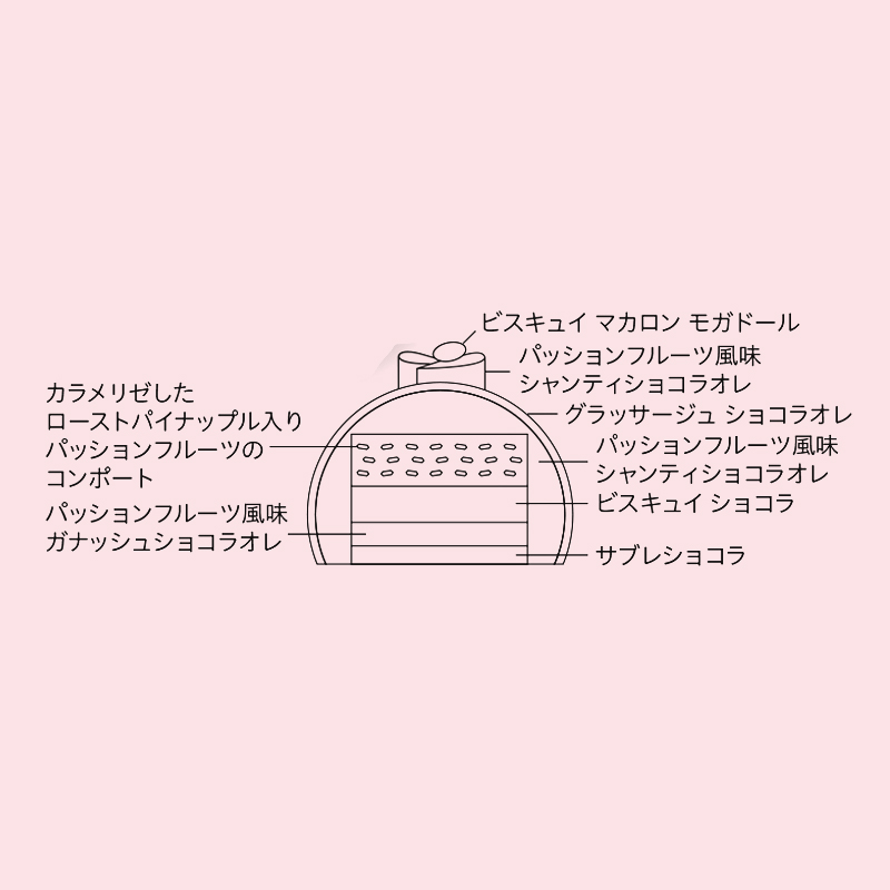 ���z�����y�s�G�[���E�G�����E�p���z�m�}�h ���K�h�[�������͂����F12��23���i���j�`25���i���j�����������E�Ⓚ��