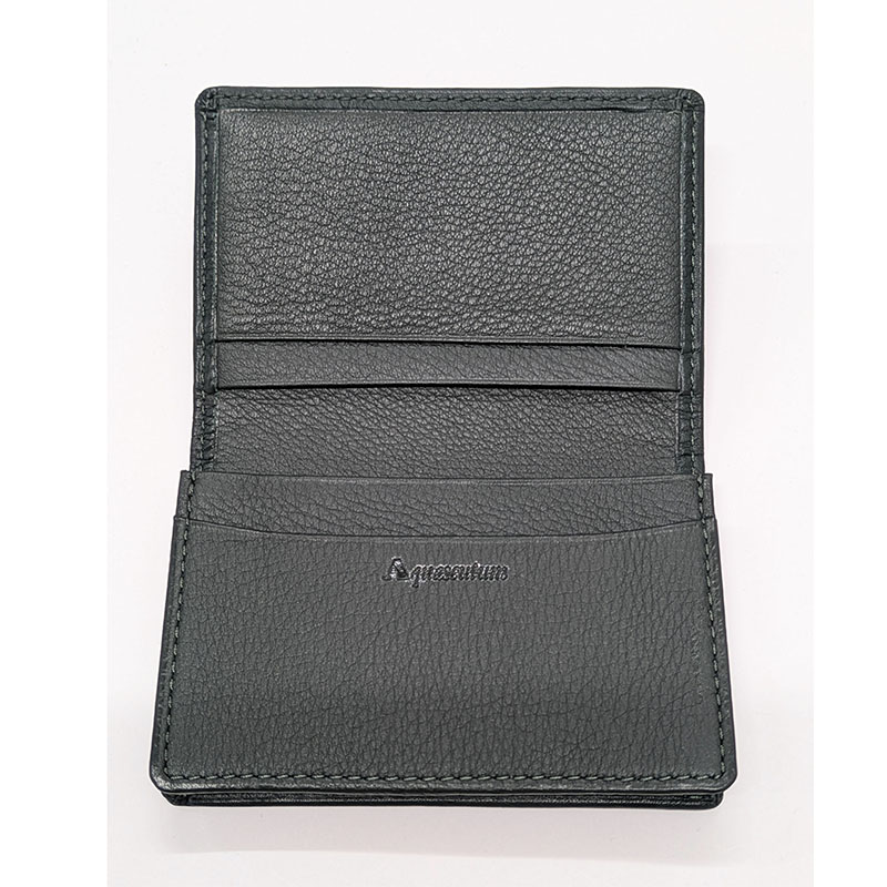  �y�A�N�A�X�L���[�^���z���h����i�O���[���j