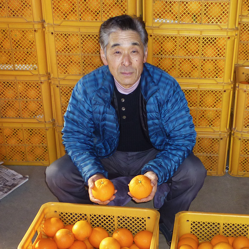 �F�{�Y�@�ԓc�l�[�u���@�@�R�������퉷�ց�