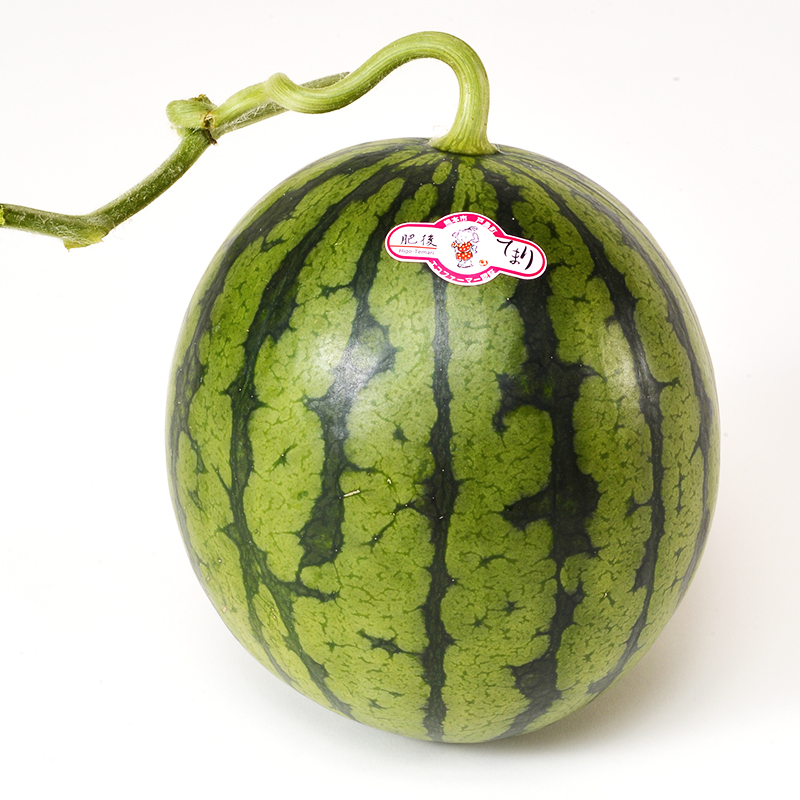 �F�{���Y�@���Ă܂�i���ʂ������j2�ʁ��퉷�ց��i�S���V���܂ł̏���j