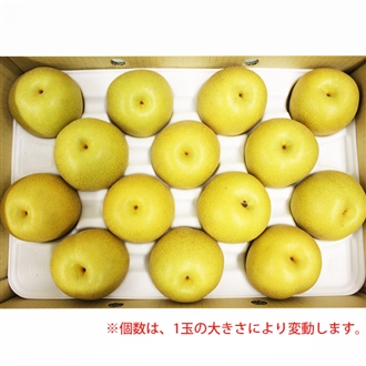 熊本産 あきづき梨 <9月10日頃から発送予定>