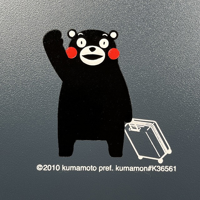 yG[Xz܃X[cP[X@S@u[O[