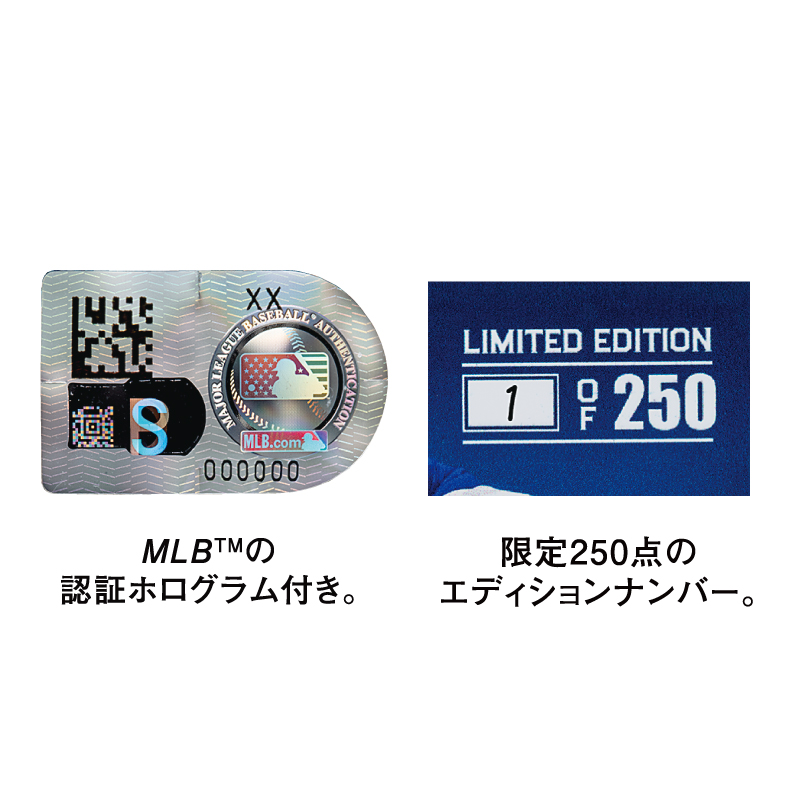 yXؘNz2025MLB(TM) fr[LO MTC{[ WP[XZbg