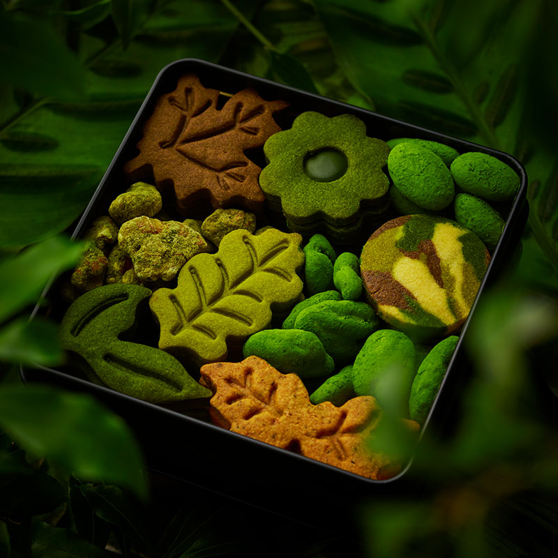 �yTREEE'S KYOTO�z�{�^�j�J���N�b�L�[��