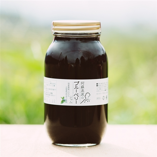 【木之内農園】阿蘇高原のブルーベリージャム1kg