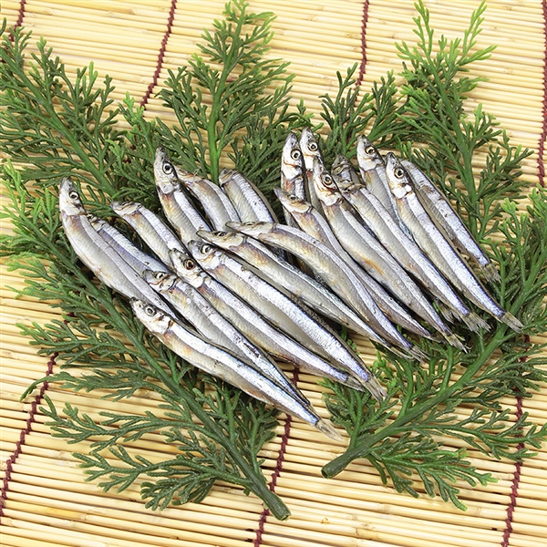 【霜村商店】牛深産 キビナゴの丸干し