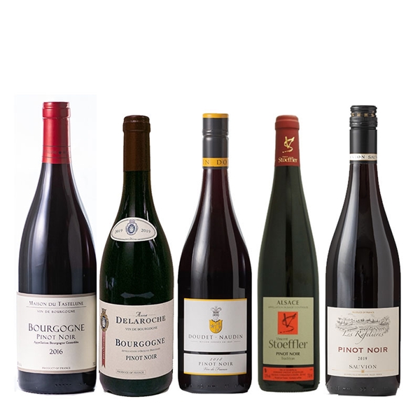 13.フランスピノノワール5本セット