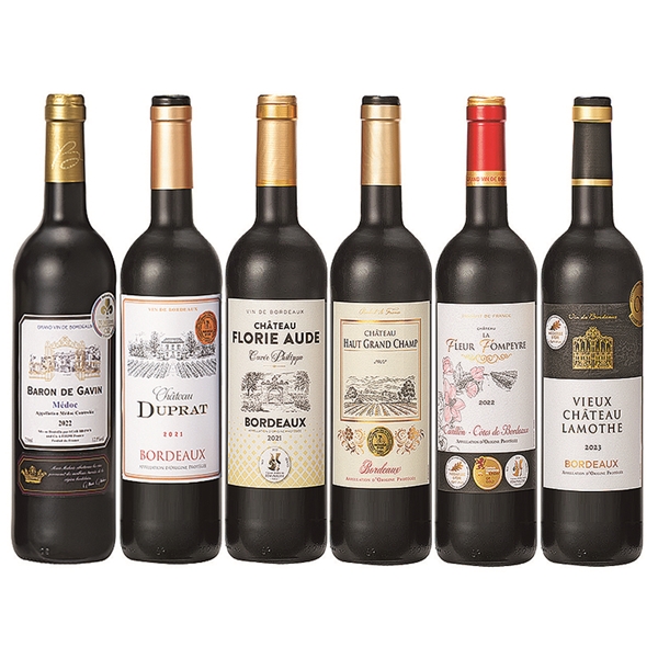 【51】 メドック入り フランスボルドー金賞受賞赤ワイン6本セット (常温便)