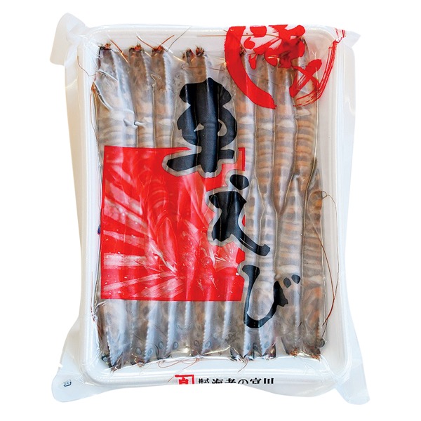 <7月以降お届け>海老の宮川 活〆冷凍車えび500g<産直・送料込み>