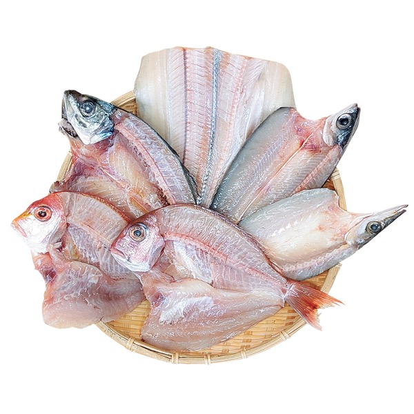 <7月以降お届け>鱗蔵 熊本魚河岸市場ん干し(真空個包装)<冷凍便>