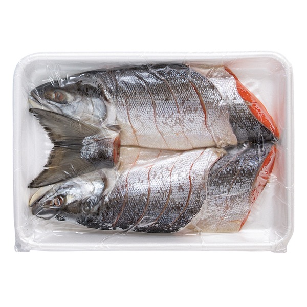 <7月以降お届け>鮭匠ふじい 塩紅鮭姿切(化粧箱入)<冷凍便>