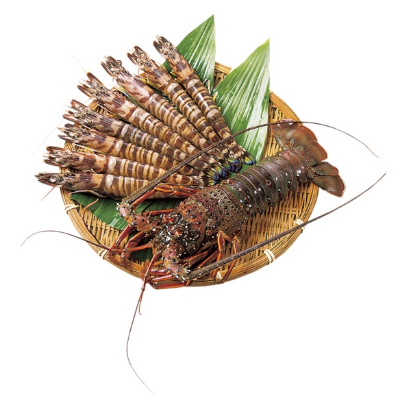 生簀料理宗弘 活〆冷凍車海老・活〆冷凍伊勢海老<産直・送料込み>