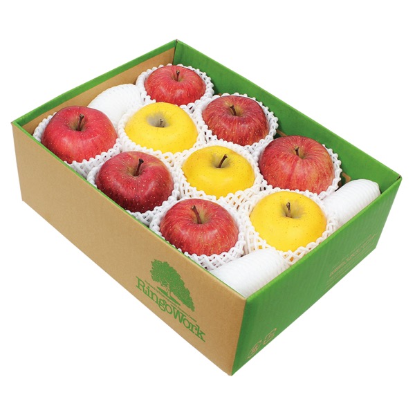 <12月以降お届け>青森板柳町りんごワーク 青森県産サンふじ&シナノゴールドりんご<産直・送料込み>