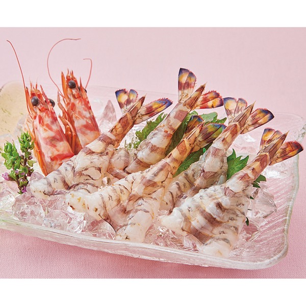 天草「活」車海老<産直・送料込み>