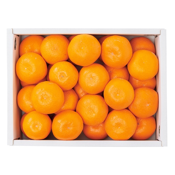 <12月以降お届け>熊本県産 蜜柑 ちなつ<常温便>