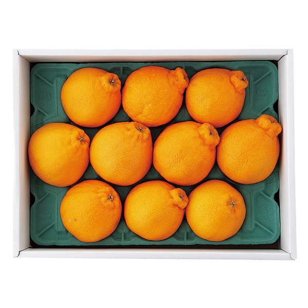 <12月以降お届け>熊本県産 デコポン<常温便>