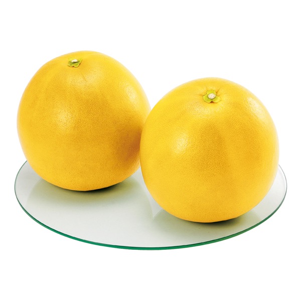 <12月以降お届け>八代産 晩白柚(L玉2玉)<常温便>