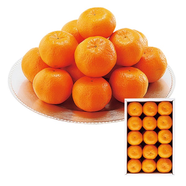 <12月以降お届け>天草産 ぽんかん<常温便>