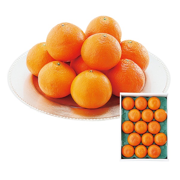 <12月以降お届け>熊本県産 天草(約3kg)10玉〜15玉詰<常温便>