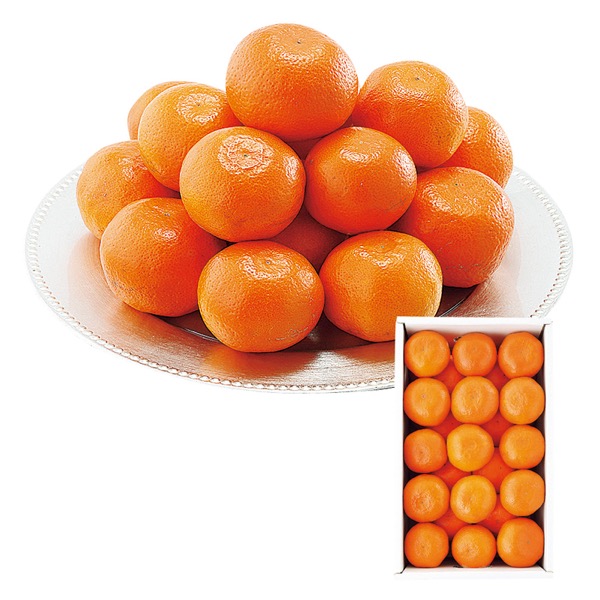 <12月以降お届け>天水産 ロイヤルルビー<常温便>