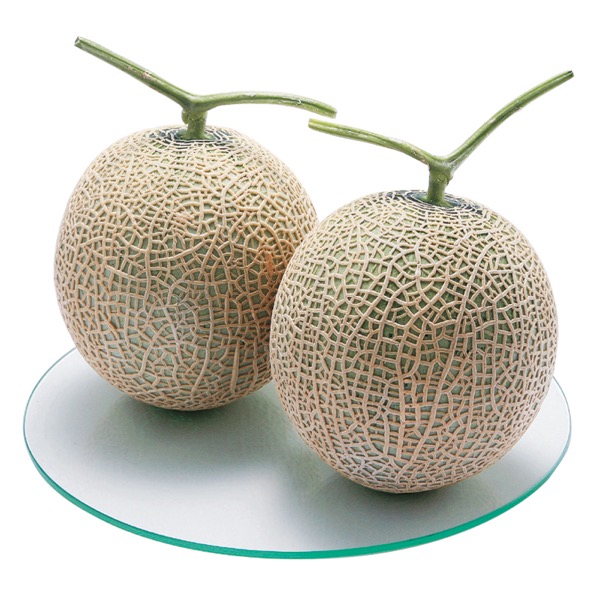 <12月以降お届け>熊本県産 アールスメロン<常温便>