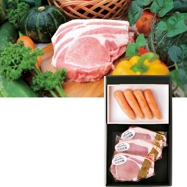 Y@hqqiFjƉ΂̖{؃[XZbgYE݁