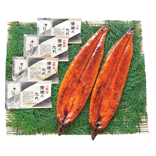 鹿児島県大隅産うなぎ蒲焼2尾詰合せ<産直・送料込み>