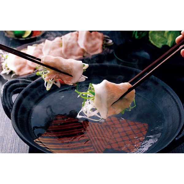 ゠ѓ؂ԂԗpHpbNYE݁