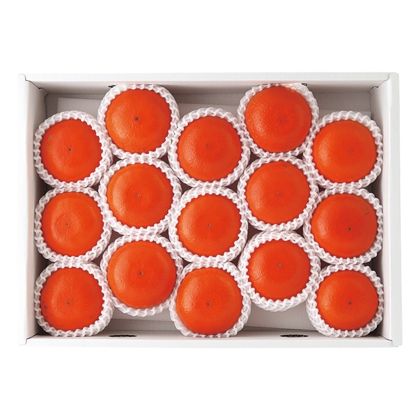 <12月以降お届け>熊本産 みはや<常温便>