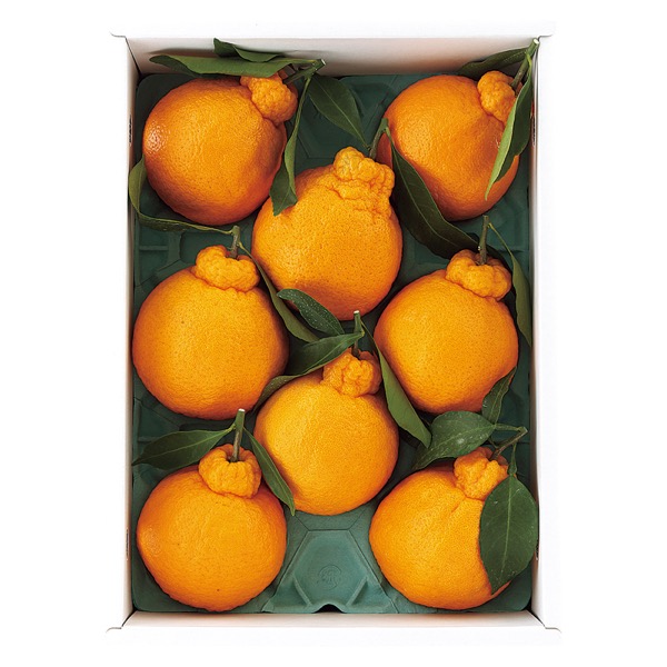 <12月以降お届け>熊本産 葉付肥の豊(約3kg)<常温便>