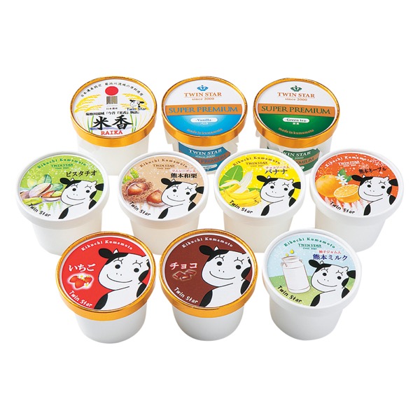 <12月以降お届け>【ついんスター】熊本物語 10個入<産直・送料込み>