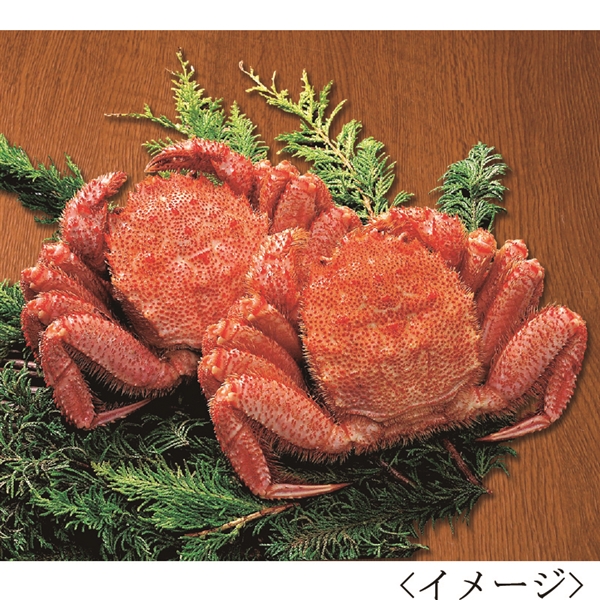 04.【札幌蟹販】北海道産 ボイル毛ガニ(500g×2杯)(冷凍)<産直・送料込>