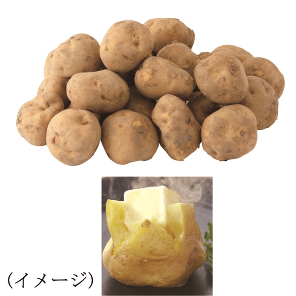28.北海道産 男爵 (10kg入) <L玉><常温便>