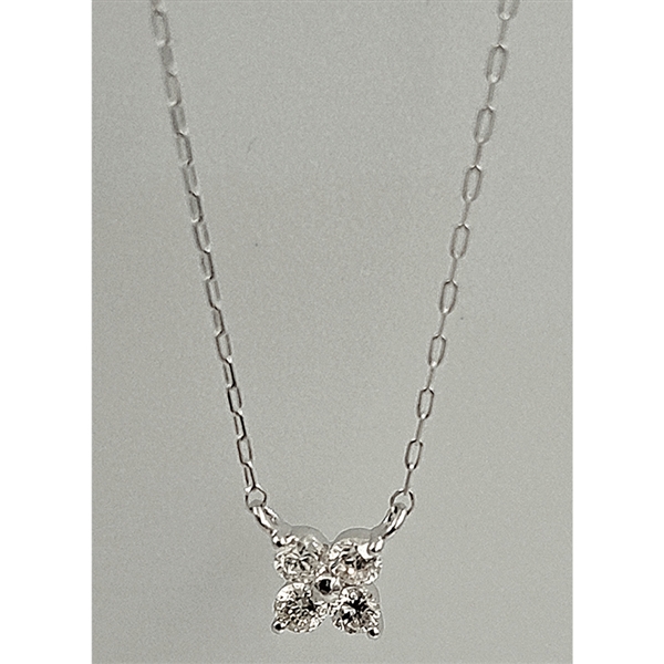 �v���`�i�_�C�������h�y���_���g