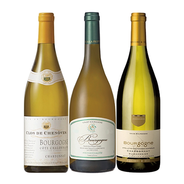 �V�D�u���S�[�j�������C���R�{�Z�b�g���퉷�ց�