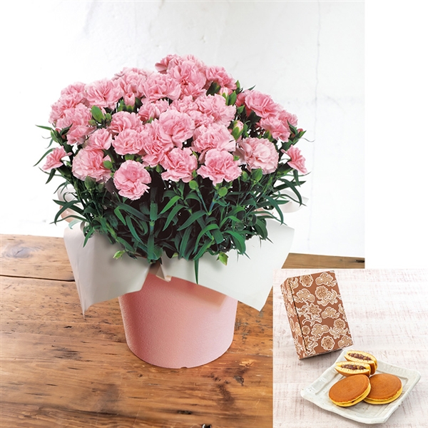 �y����J�Ԓd�z�J�[�l�[�V�����u���ӂ̋C�����v�s���N�E��������I����݂�����Z�b�g���Y�n�����E�������݁�