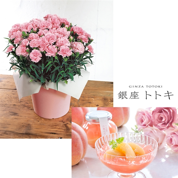 �y����J�Ԓd�z�J�[�l�[�V�����u���ӂ̋C�����v�s���N�E����g�g�L�ďC�u�R�`���Y�����̃[���[�v�Z�b�g���Y�n�����E�������݁�