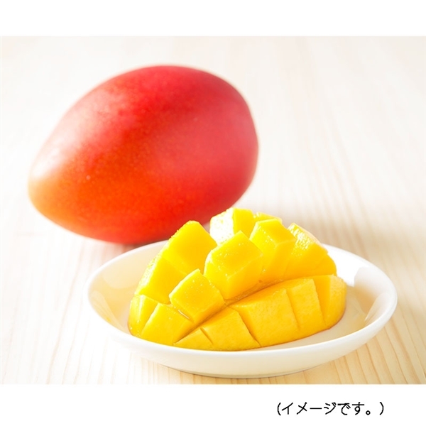 �{��Y�@�}���S�[�@1�ʓ��@ ���①�ց�