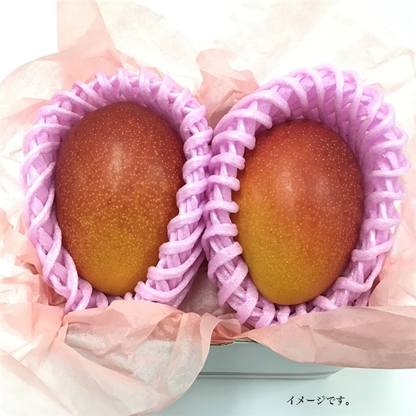 �{��Y�@�}���S�[�@2�ʓ��@ ���①�ց�