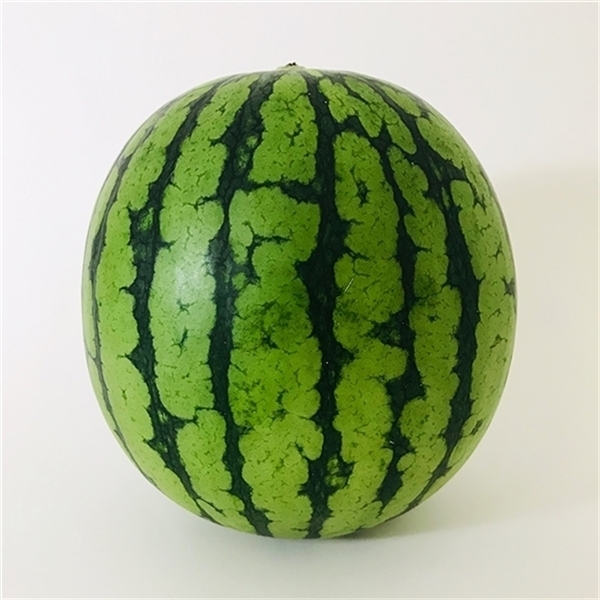 �F�{�Y�@�ЂƂ肶�ߐ��Z�@1�ʓ����퉷�ց�