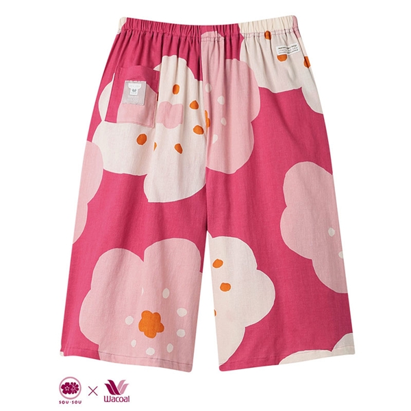 sou sou ���[���p���c�i�s���N�j