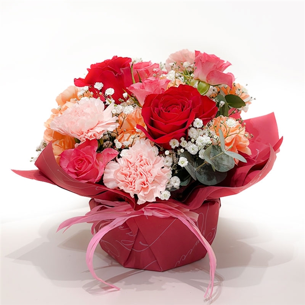 �y�f�R�[���t�����[�z�A�����W�����g�i���ԁj���①��